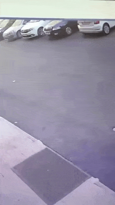 Acid GIFs, December 7 (25 gifs)