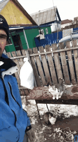 Acid GIFs, December 7 (25 gifs)