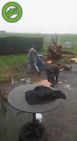 Acid GIFs, December 7 (25 gifs)