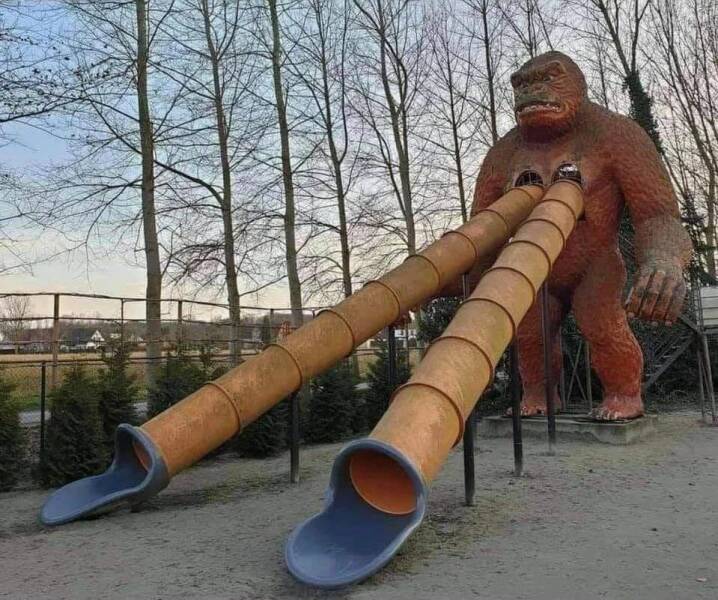 Daily Pictures. Part 1 (66 pics)