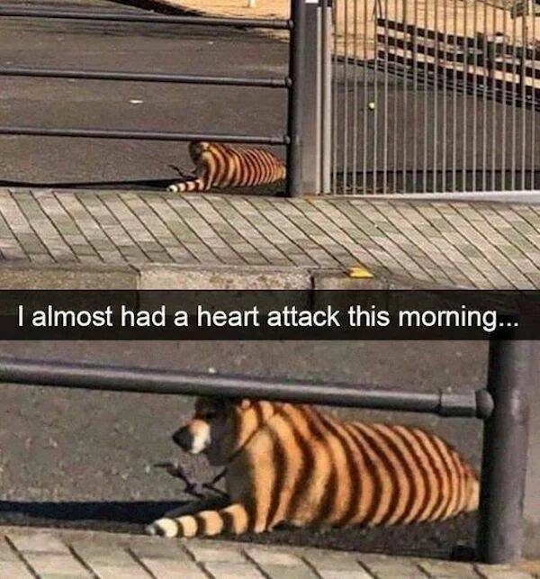 Daily Pictures. Part 1 (66 pics)