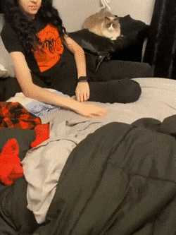 Acid GIFs, December 8 (25 gifs)