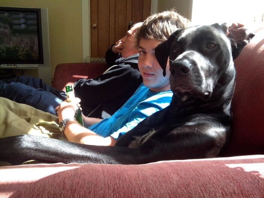 People With Their Pets (24 pics)