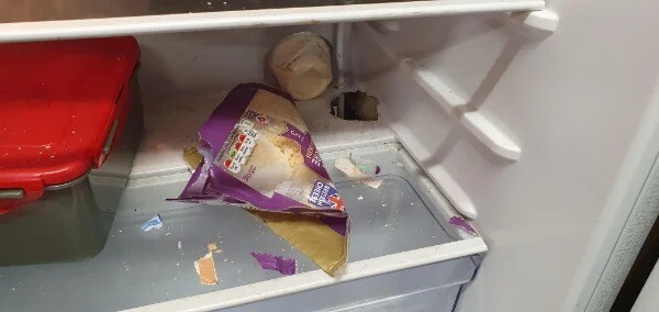 Bad Days Happen (19 pics)