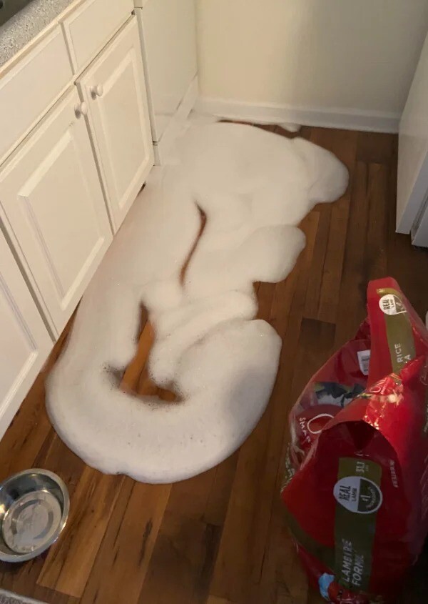 Bad Days Happen (19 pics)