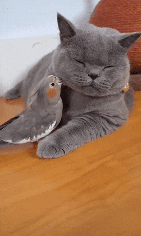 Acid GIFs, December 12 (25 gifs)