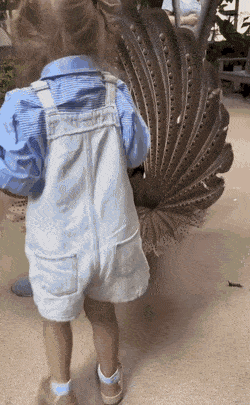 Acid GIFs, December 12 (25 gifs)
