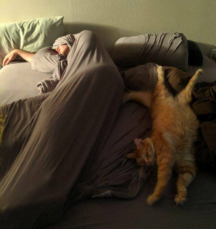 Cute Animals (27 pics)