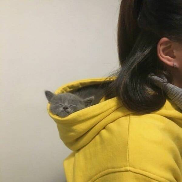 Cute Animals (27 pics)