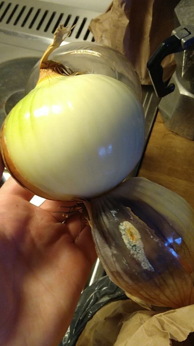 Interesting Finds (18 pics)