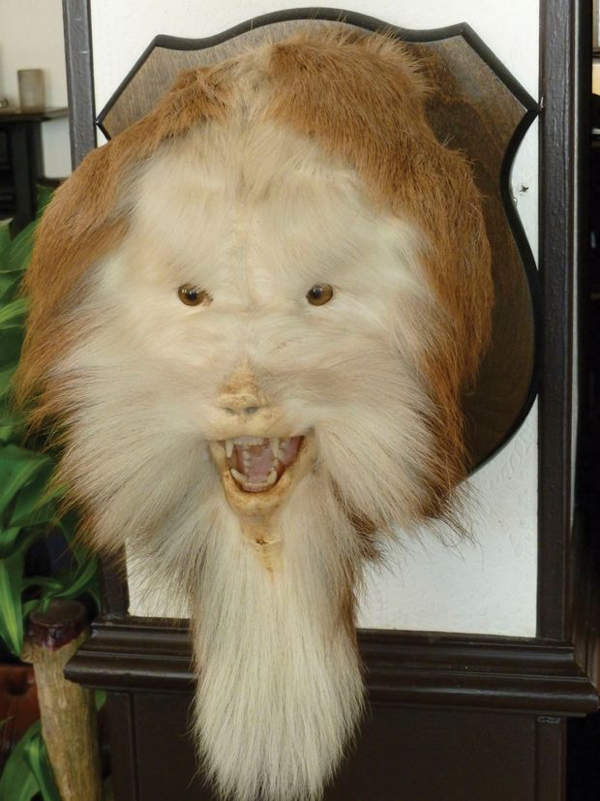 Failed Taxidermy (22 pics)