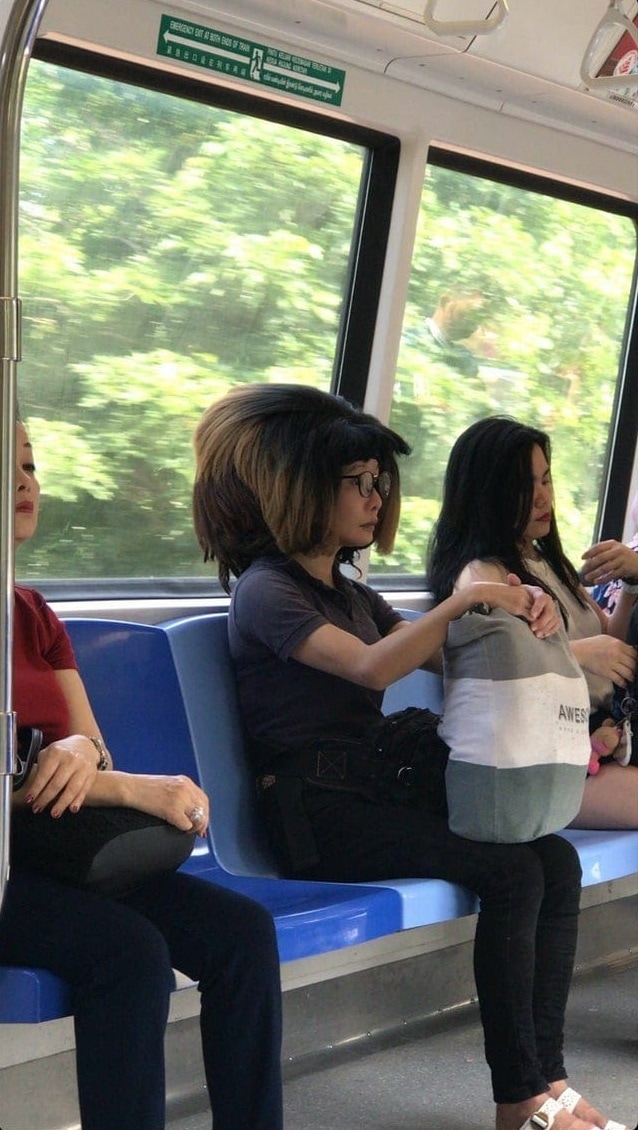 Odd Haircuts (17 pics)