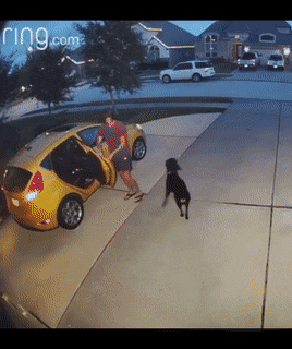 Acid GIFs, December 20 (25 gifs)