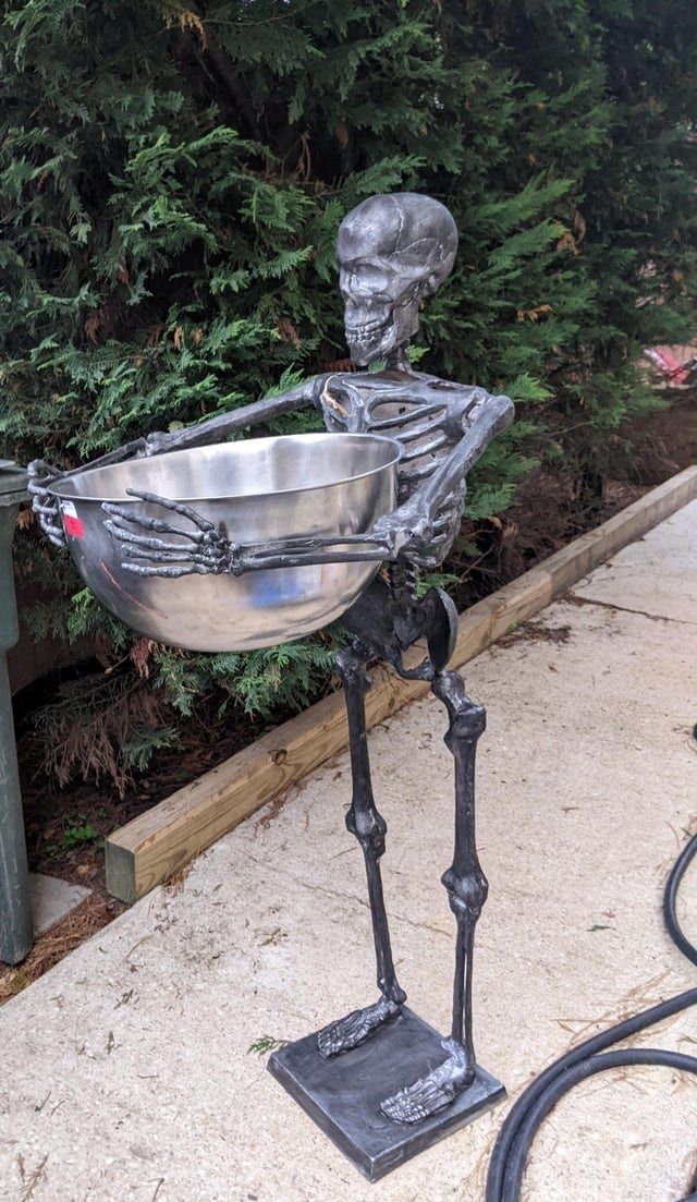 Free Roadside Finds (16 pics)