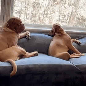 Acid GIFs, December 21 (25 gifs)