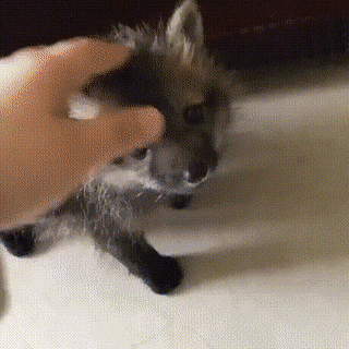 Acid GIFs, December 21 (25 gifs)