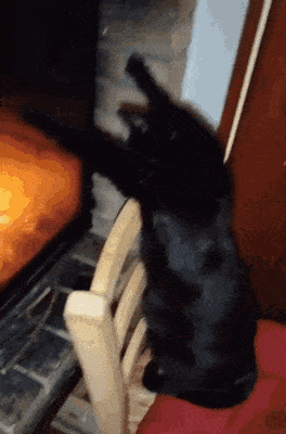 Acid GIFs, December 21 (25 gifs)