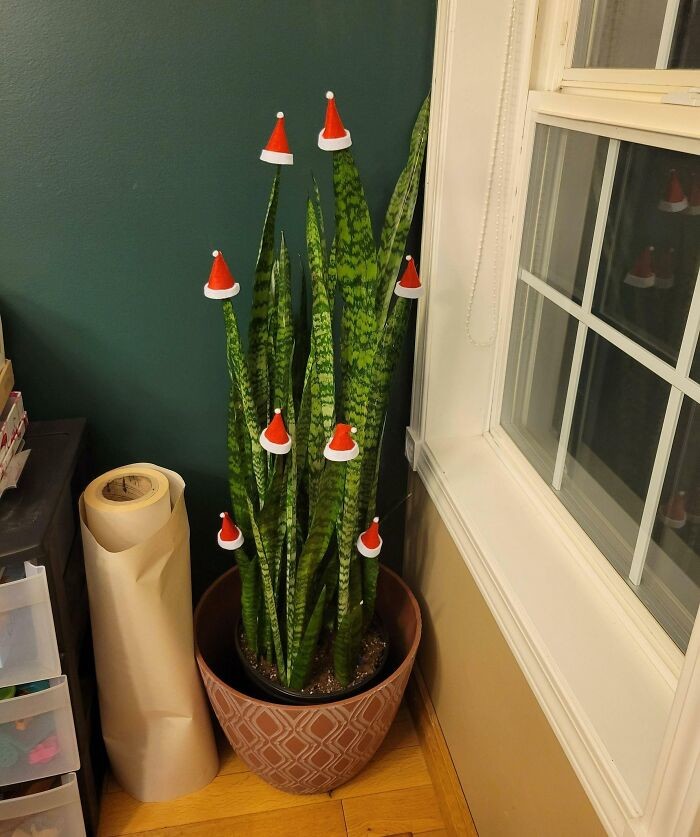 Interesting Christmas Trees (24 pics)