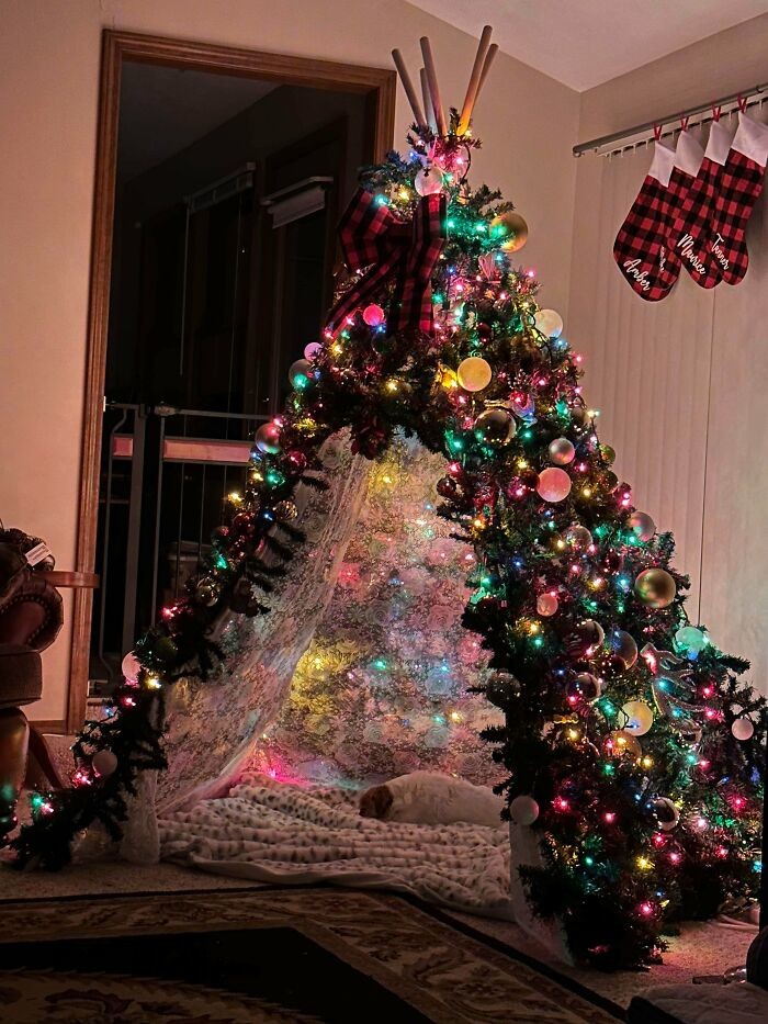 Interesting Christmas Trees (24 pics)