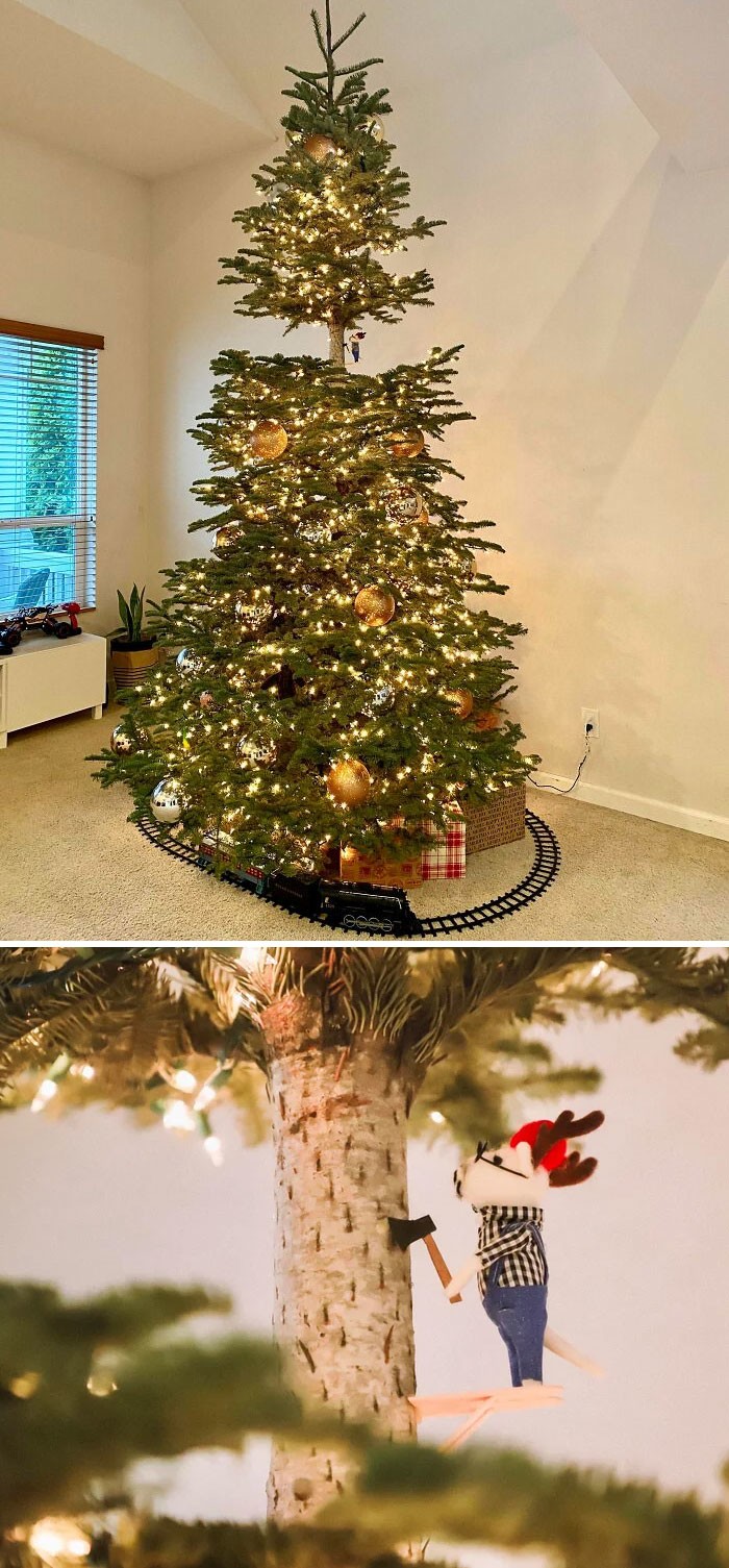 Interesting Christmas Trees (24 pics)