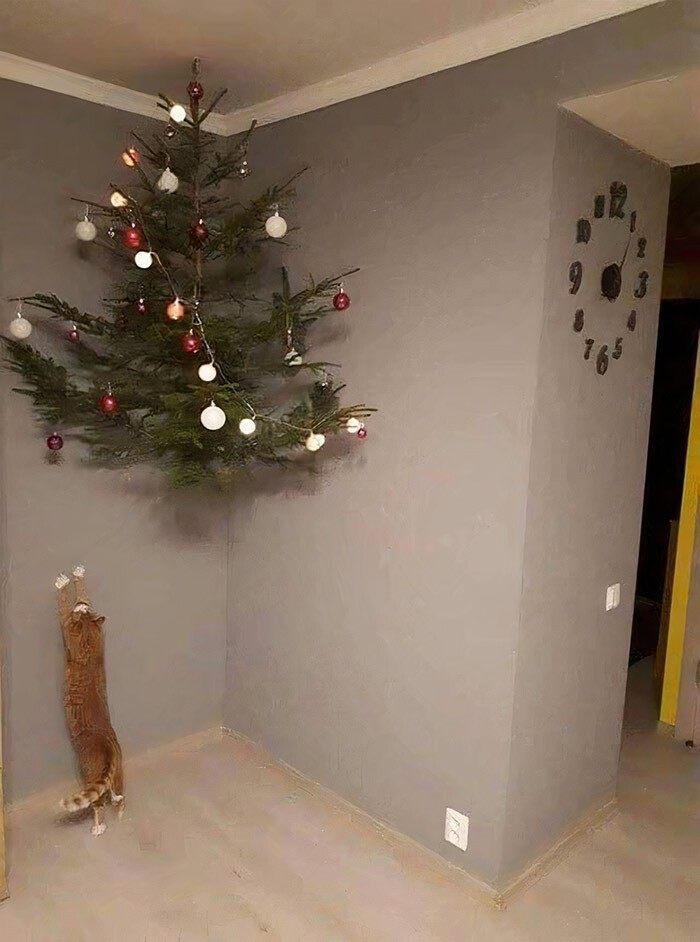 Cats And Christmas (27 pics)