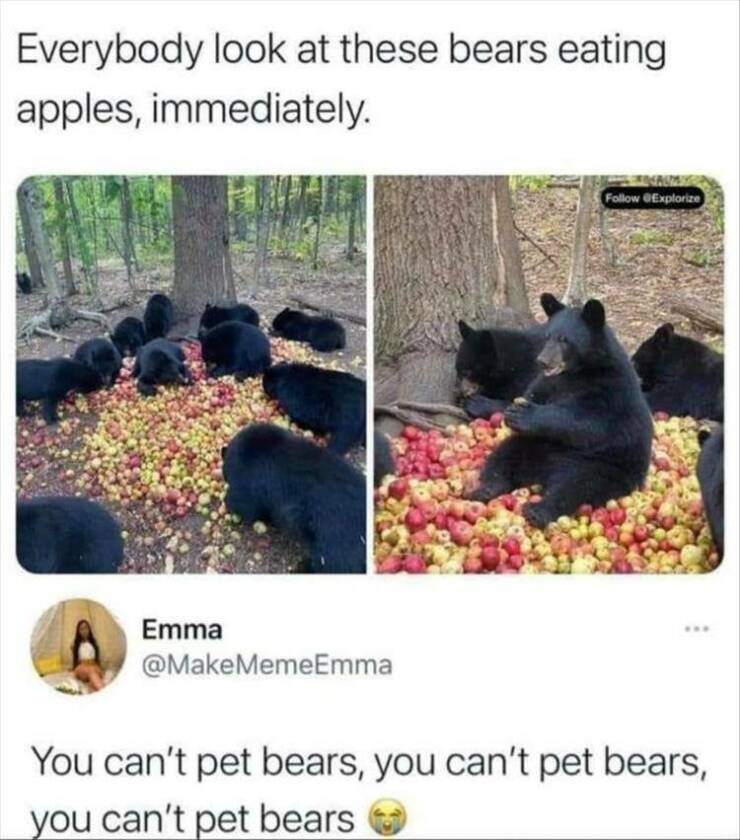 Daily Pictures. Part 2 (67 pics)