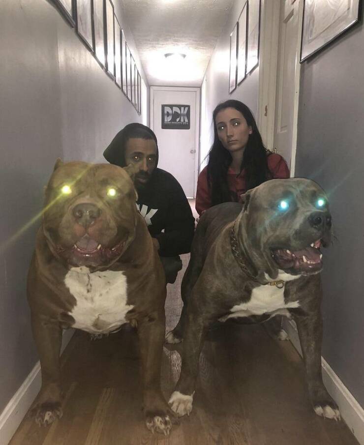 Daily Pictures. Part 2 (67 pics)