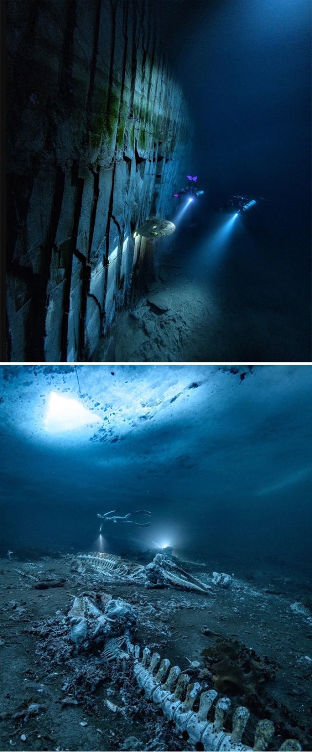 Aquaphobia (23 pics)