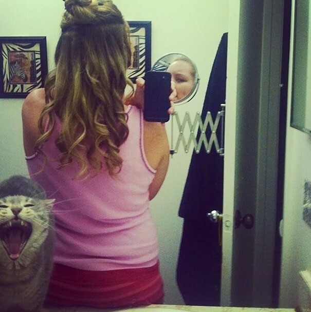 Funny Photos With Animals (17 pics)