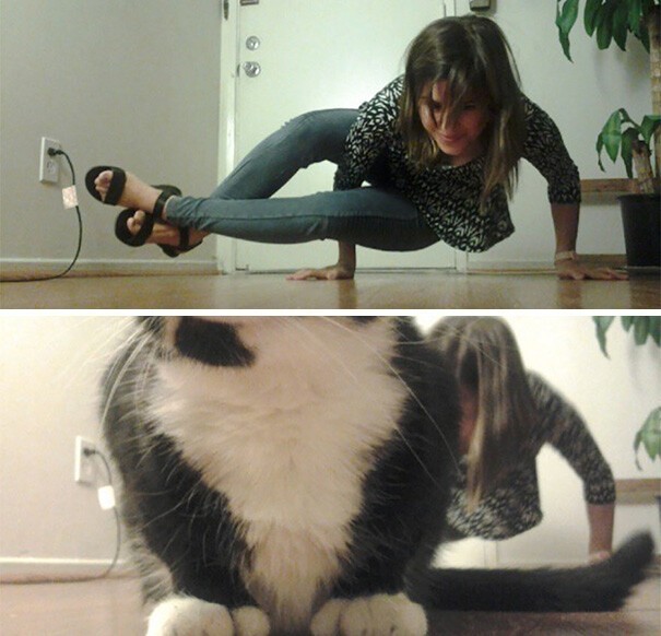 Funny Photos With Animals (17 pics)