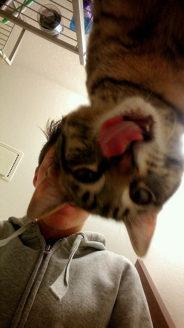 Funny Photos With Animals (17 pics)
