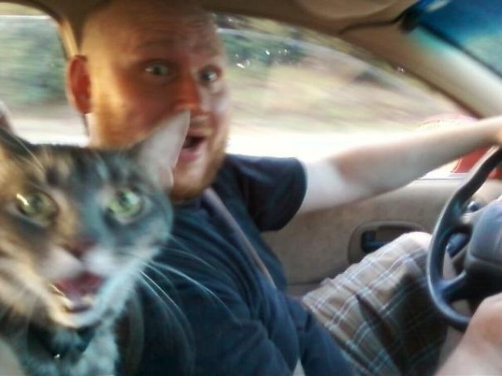 Funny Photos With Animals (17 pics)