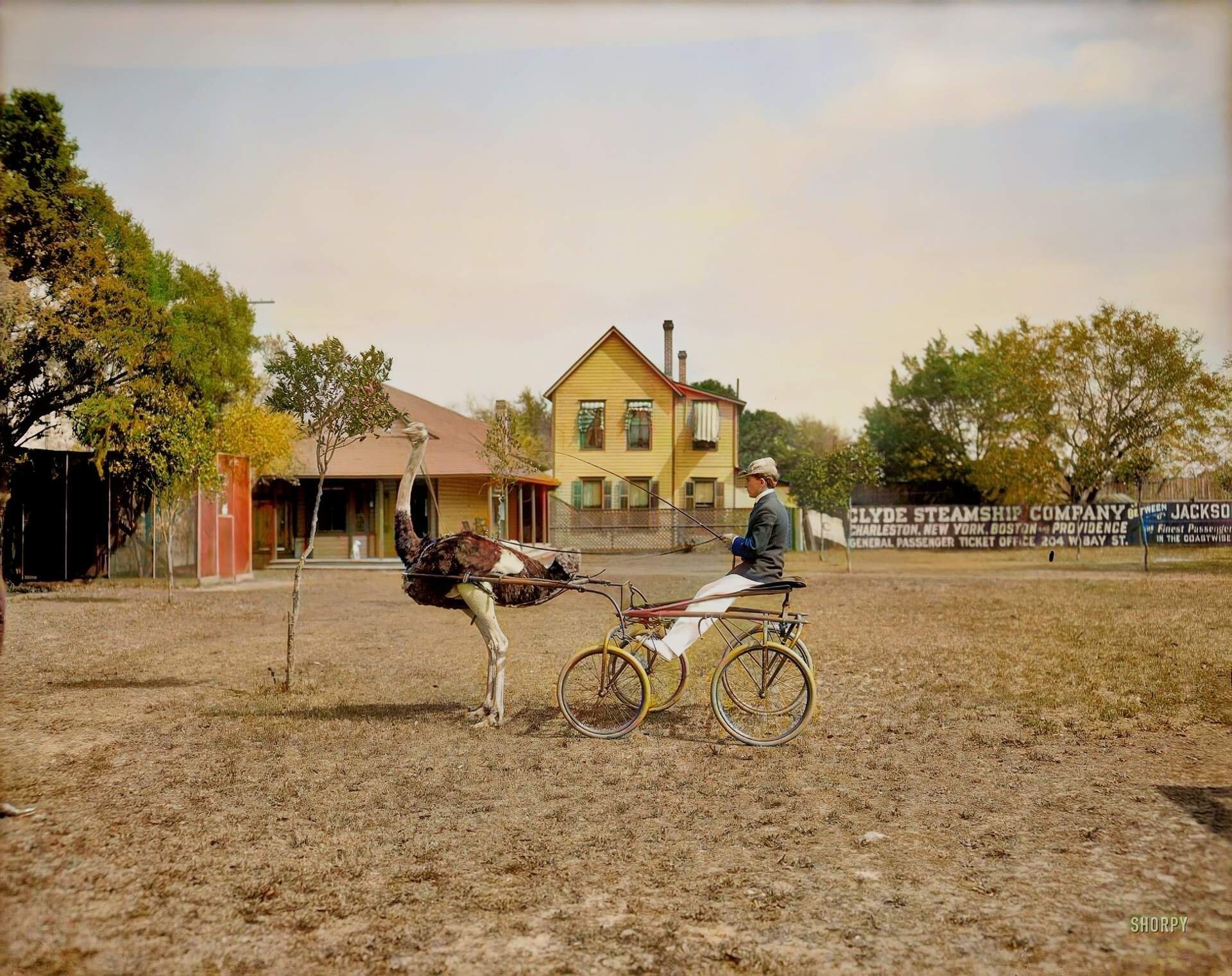 Photos Of The US From The Past (23 pics)