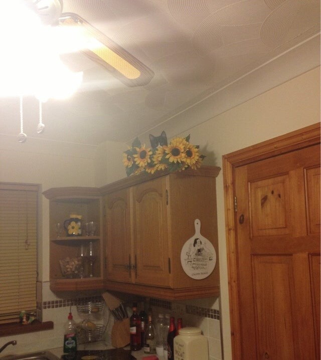 Find The Cat (18 pics)
