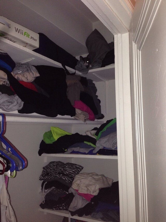 Find The Cat (18 pics)