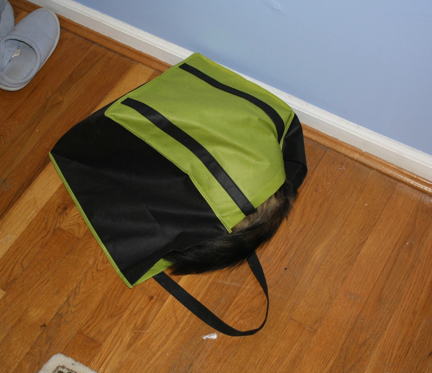 Find The Cat (18 pics)