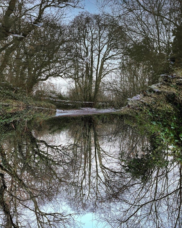 Optical Illusions (15 pics)
