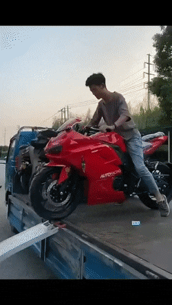 Acid GIFs, December 27 (25 gifs)