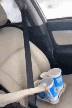Acid GIFs, December 27 (25 gifs)