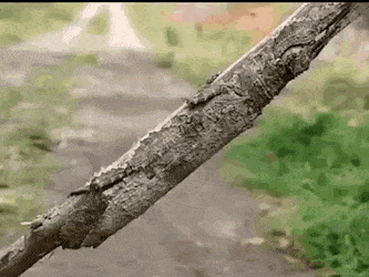 Acid GIFs, December 27 (25 gifs)