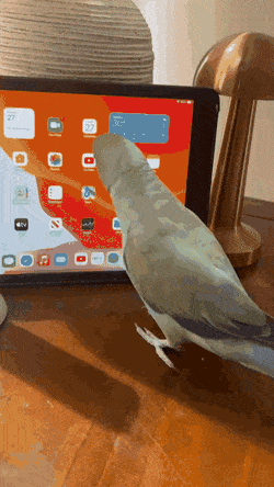 Acid GIFs, December 27 (25 gifs)