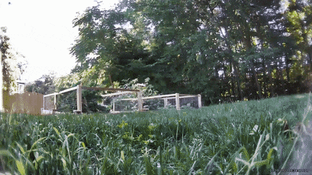 Acid GIFs, December 27 (25 gifs)