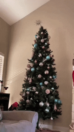 Acid GIFs, December 27 (25 gifs)