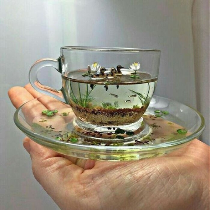 Unusual Cups (21 pics)