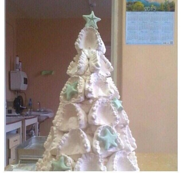 Funny Christmas Trees (16 pics)