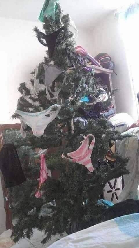 Funny Christmas Trees (16 pics)