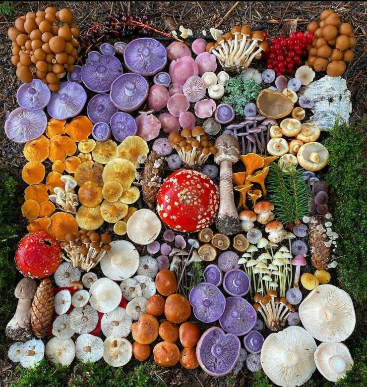 Daily Pictures. Part 2 (71 pics)