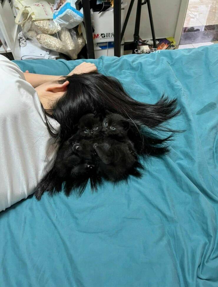 Daily Pictures. Part 1 (73 pics)