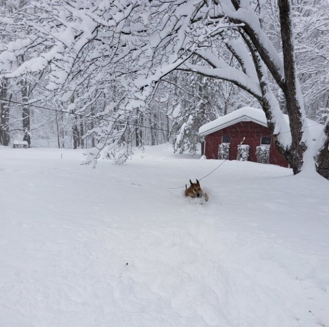 Winter Photos From Buffalo (23 pics)