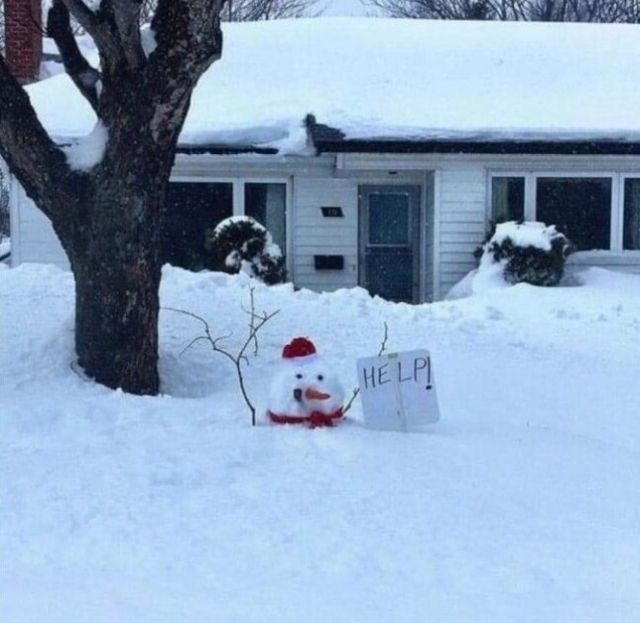 Winter Photos From Buffalo (23 pics)